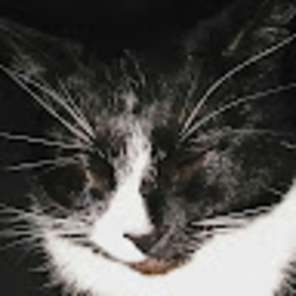 Meet your Posher, Katherine